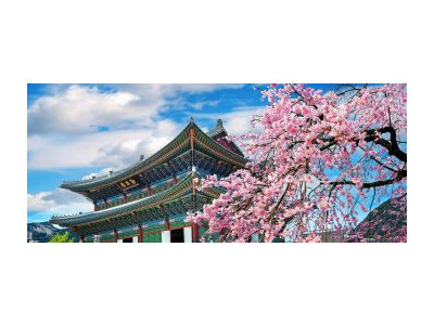 Giới thiệu các Trung tâm du học Hàn Quốc tại thành phố Hồ Chí Minh (Phần 1: Một số trung tâm tại quận 3)