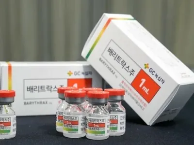 Hàn Quốc Tạo Nên "Bước Đột Phá" Y Tế: Tự Chủ Vaccine Phòng Bệnh Than Sau Hơn Hai Thập Kỷ Nghiên Cứu
