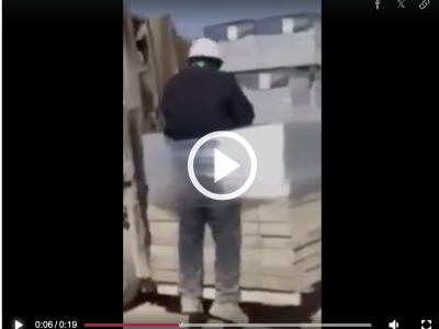 Video Ngược Đãi Lao Động Nhập Cư Gây Sốc Hàn Quốc: Làn Sóng Phẫn Nộ Lan Rộng