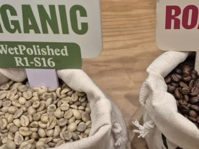 Giá cà phê hôm nay 12-12: Tin vui lớn của ngành cà phê