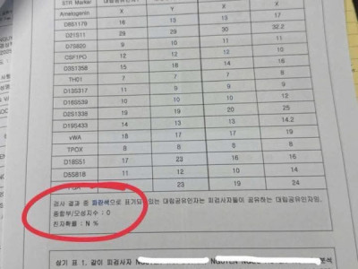 NỮ QTICH YÊU TRAI XÂY DỰNG VÀ CÓ CON CHUNG. GIỜ BẠN NỮ BỊ ĐI TÒ , ĐỂ LẠI CON CHO B NAM NUÔI . BẠN NAM MUỐN LÀM XÁC NHẬN HUYẾT THỐNG CHA CON ĐỂ ĐỔI VISA THEO CON. NHƯNG SỰ VIỆC KO NGỜ ĐÓ LÀ GÌ ĐỐ MỌ