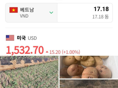 Xuống Mười bảy đến nơi rồi... ???????? HQ năm nay việc đã ít mà do ảnh hưởng từ Trung Đông lại càng ít việc hơn,. Nay 31/3 "T:ỷ g:iá vượt mốc 1.530 won" ????  #Korea  #muusinh  #cuocsonghanquoc