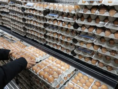 Vỉ trứng chỗ các bạn bao nhiêu K rồi??