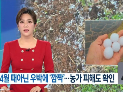 Mưa đá tháng 4... hôm qua, tại nhiều nơi như ở Gwangju và Jeonnam đã xuất hiện mưa đá bất ngờ, khiến không ít người phải giật mình.  Ở một số khu vực, mưa đá rơi xuống với kích thước lớn, cỡ g