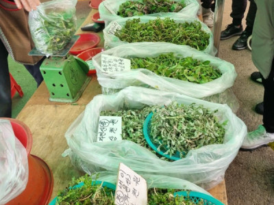 Tổng hợp cát xê:  Tham gia chương trình thực tế "이혼숙려캠프"