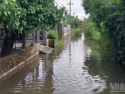Thành Phố Huế: Người dân vùng trũng dọc sông Bồ cần chủ động ứng phó úng ngập