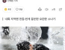 Nắng như đổ l.ử.a! Seoul 35°C, Daegu chạm ngưỡng 37°C