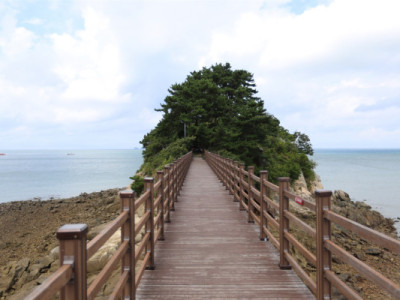 Thế còn chuyến đi trong ngày đến một hòn đảo mùa thu và câu mực theo mùa thì sao?