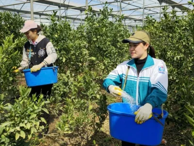 Cơ hội sang Hàn Quốc làm việc thêm rộng mở