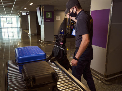 Hai người Hàn Quốc bị bắt giữ tại Iran vì tội buôn lậu