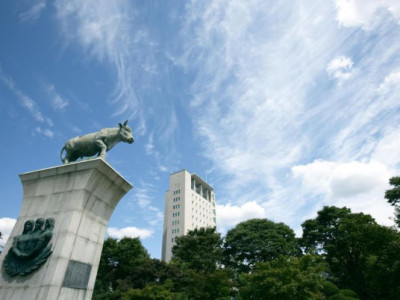 Đại học Konkuk công bố kế hoạch tuyển sinh chính quy cho năm tới.