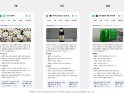 Tính năng tìm kiếm hỗ trợ bởi AI của Naver vượt mốc 20%.