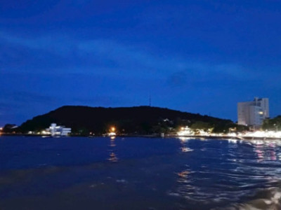 Ứng dụng AI trong bảo tồn đa dạng sinh học biển