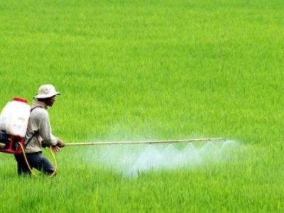 Xây dựng chương trình quản lý sức khỏe cây trồng