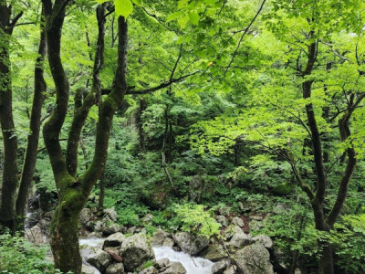 Một bí mật của Sokcho mà chỉ bạn mới biết, nằm trên đường đến Núi Seoraksan.