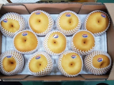 Hàn Quốc xuất khẩu lê chất lượng cao sang Việt Nam