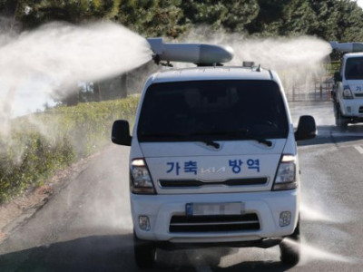 Hàn Quốc ghi nhận ca mắc cúm gia cầm có khả năng lây nhiễm cao thứ 11 trong mùa này.