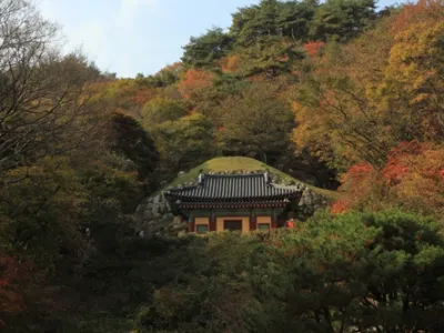 10 điều hấp dẫn không có ở Seoul