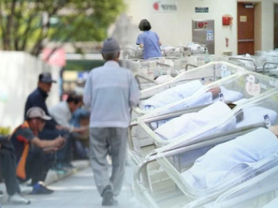 Số lượng hộ gia đình một người vượt quá 8 triệu vào năm 2024: dữ liệu