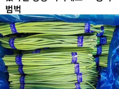 NHIỀU NÔNG SẢN NHẬP KHẨU TỪ TRUNG QUỐC CÓ DƯ LƯỢNG TH,UỐC TRỪ SÂU VƯỢT MỨC CHO PHÉP