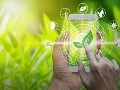 TP. Hồ Chí Minh: Đưa nội dung chuyển đổi xanh, phát triển bền vững vào giảng dạy trong trường học