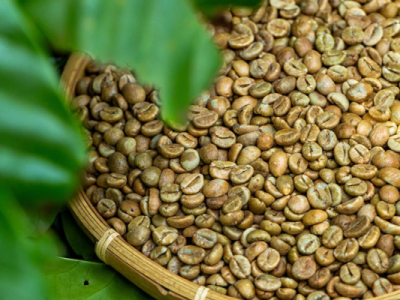Cà phê tăng giá mạnh, lập đỉnh mới trong ngày 24-10