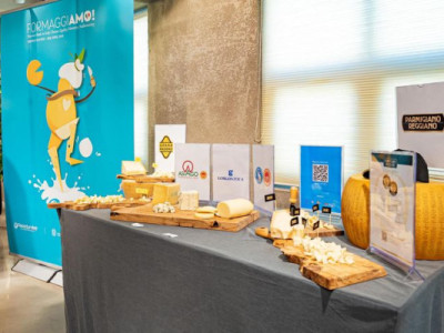 Vì sao người Ý khuyên người Hàn Quốc nên kiểm tra nhãn phô mát?