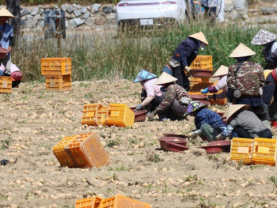 Lao động nước ngoài không thể ngăn chặn sự suy giảm dân số của Hàn Quốc: nghiên cứu