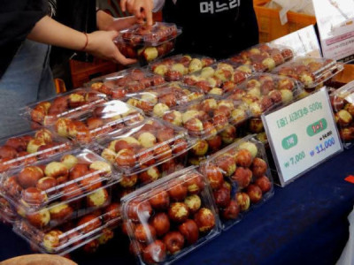 Lễ hội táo tàu và Hội chợ nông sản 경산   hội Táo tàu Gyeongsan lần thứ 15 & Hội chợ Nông sản là một lễ hội khu vực tiêu biểu cho các đặc sản nông nghiệp địa phương được tổ chức tại Gyeong
