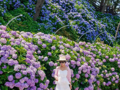 Không cần đi ra đảo JEJU trong đất liền cũng có 1 địa điểm đẹp lắm đó là 거제도 .   Giờ thời tiết vẫn còn mát mẻ rất tuyệt với cho đi du lịch.